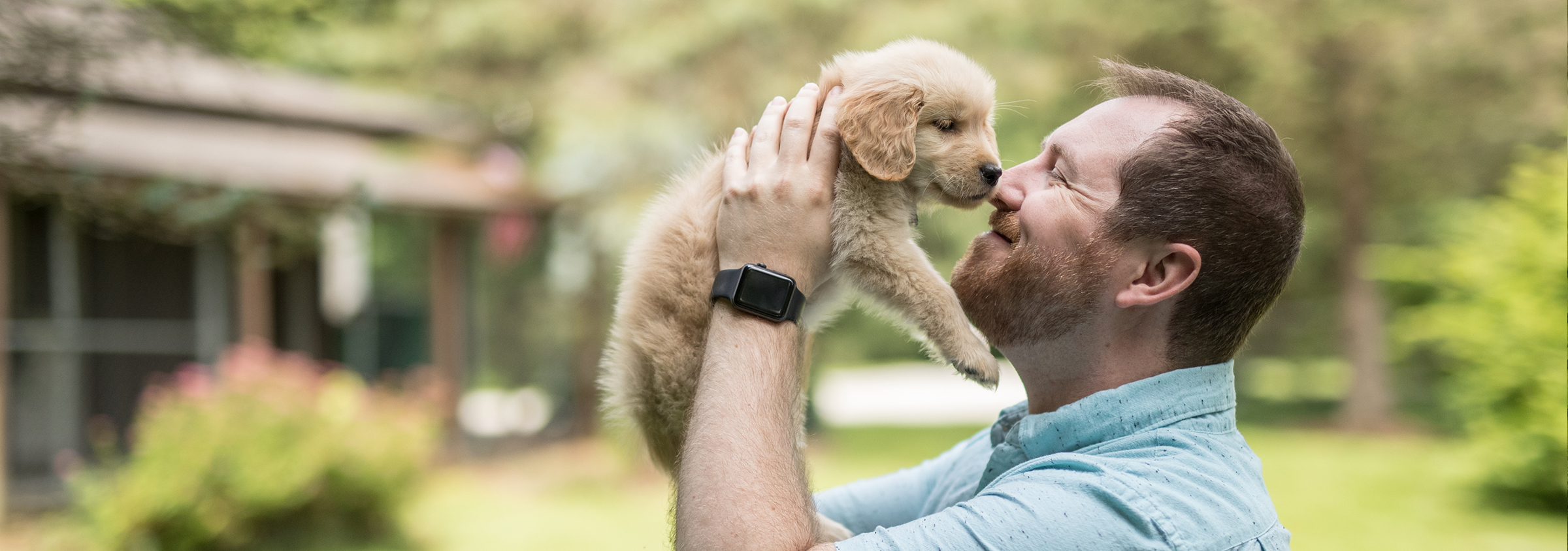 pet-insurance